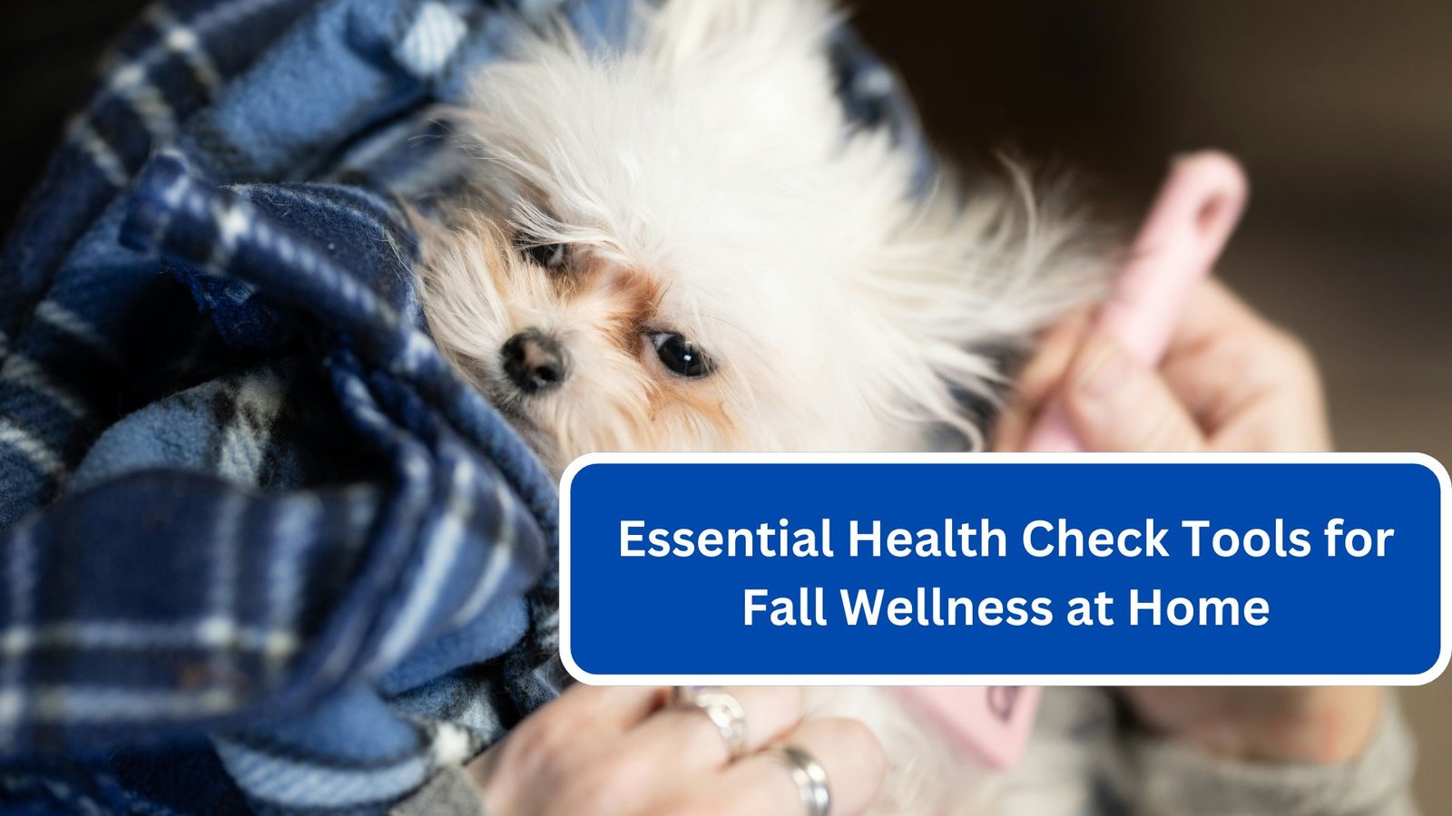 Essential Health Check Tools for Fall Wellness at Home