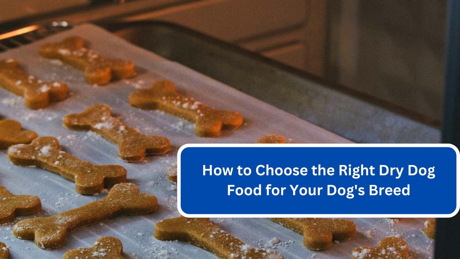 How to Choose the Right Dry Dog Food for Your Dog's Breed