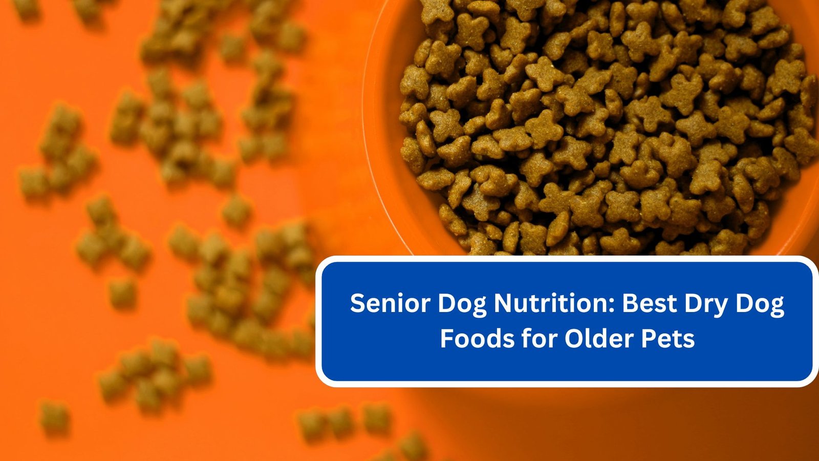 Senior Dog Nutrition Best Dry Dog Foods for Older Pets