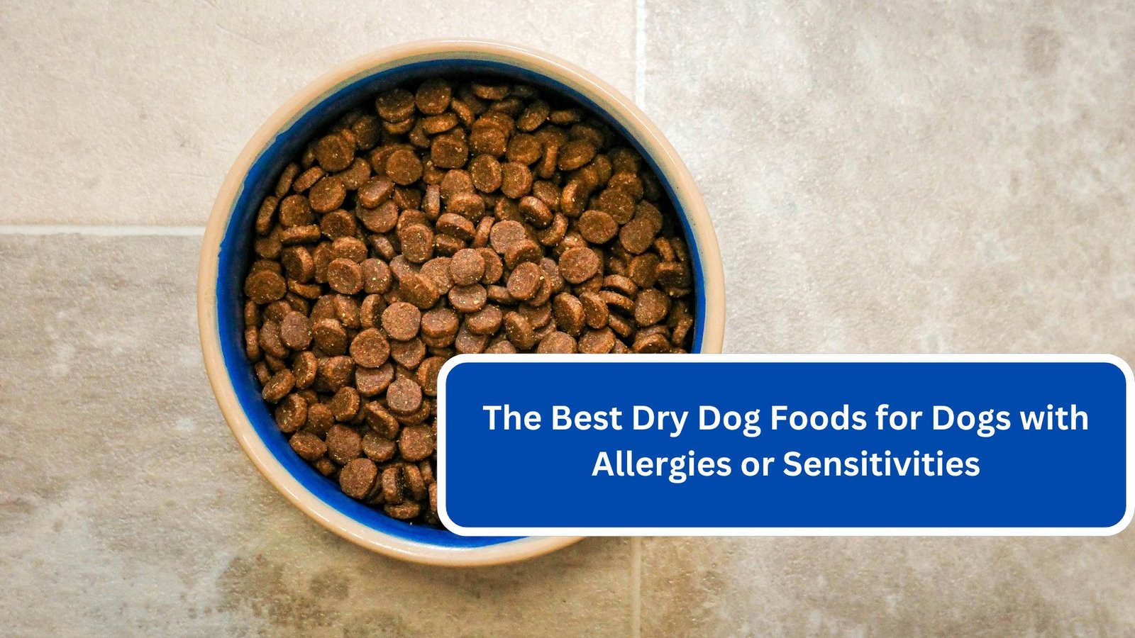 The Best Dry Dog Foods for Dogs with Allergies or Sensitivities