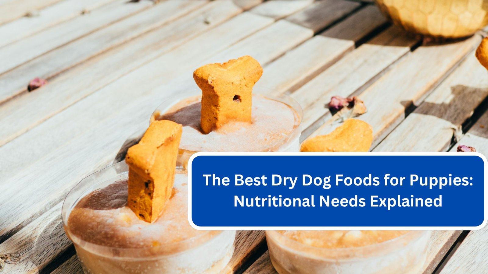 The Best Dry Dog Foods for Puppies Nutritional Needs Explained