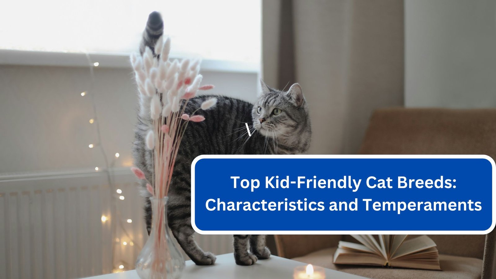 Top Kid-Friendly Cat Breeds Characteristics and Temperaments