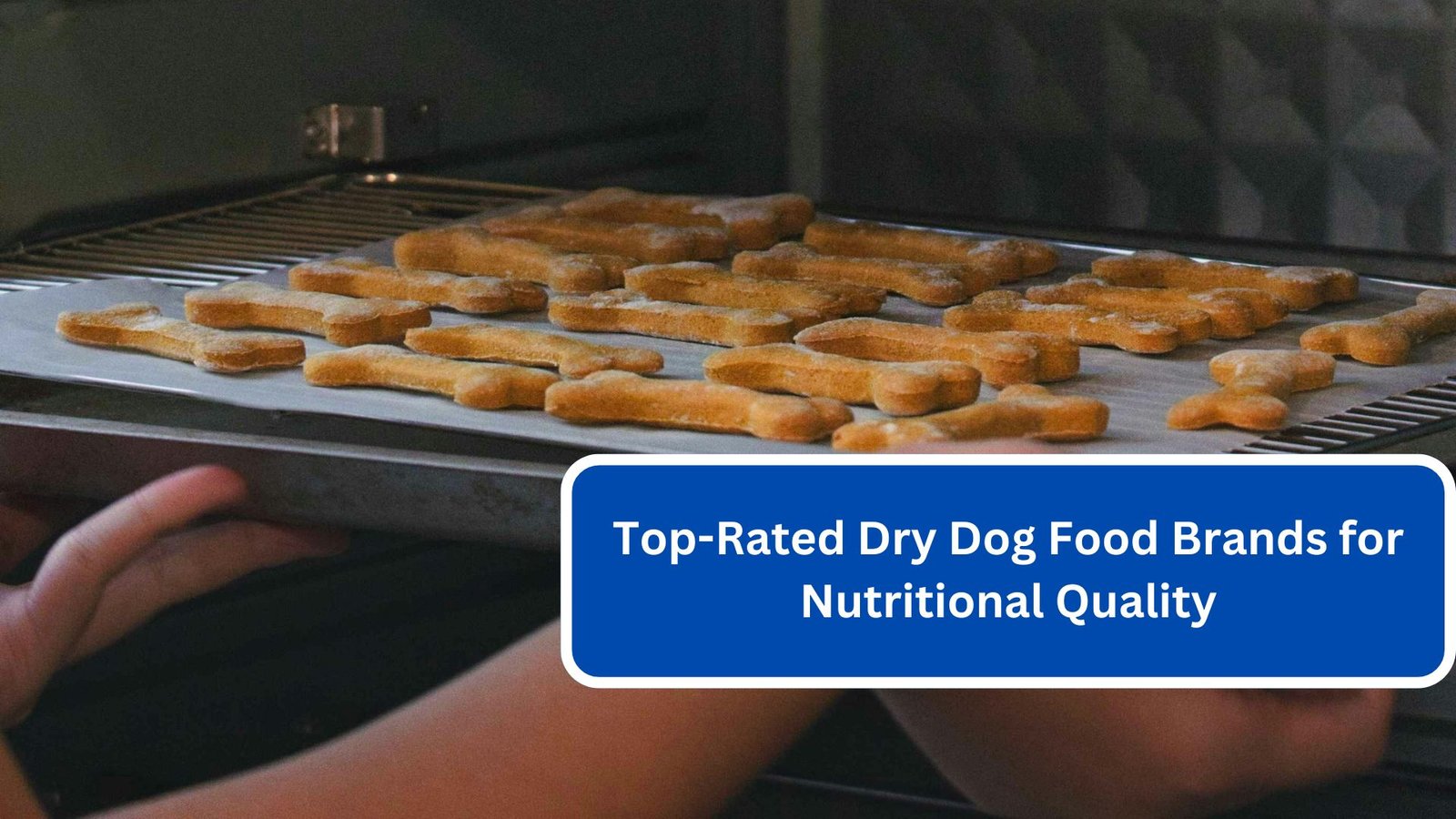 Top-Rated Dry Dog Food Brands for Nutritional Quality